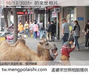 10/13/2025= 來世的未來相片