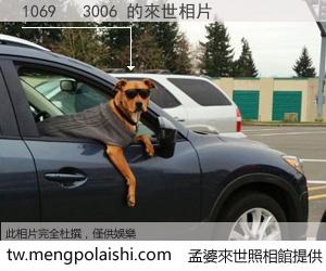 1069 3006 來世的未來相片