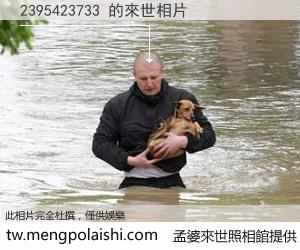 2395423733 來世的未來相片