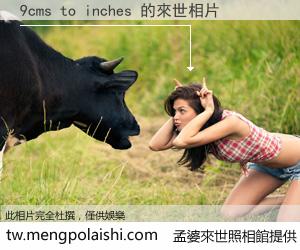 9cms to inches 來世的未來相片