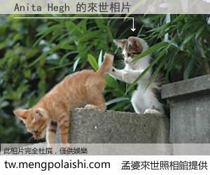 Anita Hegh 來世的未來相片