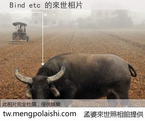 Bind etc 來世的未來相片