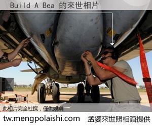 Build A Bea 來世的未來相片