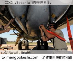 CCKG Victoria 來世的未來相片