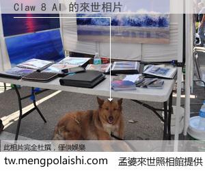 Claw 8 AI 來世的未來相片