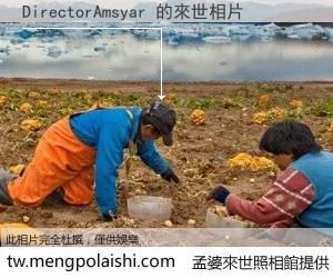 DirectorAmsyar 來世的未來相片