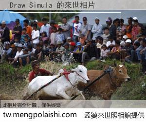 Draw Simula 來世的未來相片