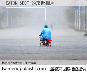 EATON SEDF 來世的未來相片