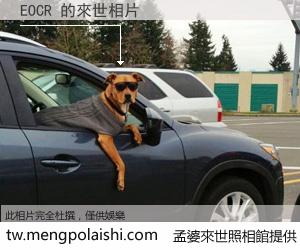 EOCR 來世的未來相片