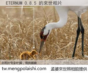 ETERNUM 0.8.5 來世的未來相片