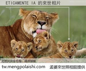 ETICAMENTE IA 來世的未來相片