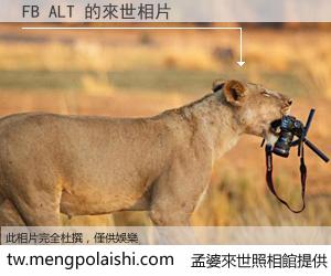 FB ALT 來世的未來相片