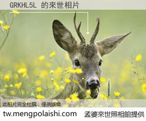 GRKHL5L 來世的未來相片