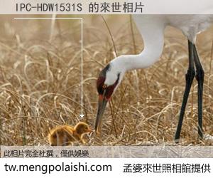 IPC-HDW1531S 來世的未來相片