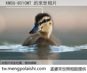 KMSG-8010MT 來世的未來相片
