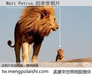 Matt Petrus 來世的未來相片