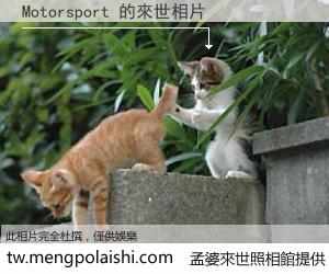 Motorsport 來世的未來相片