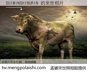 SUIMINSHIBURIN 來世的未來相片