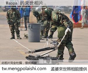 Wappa 來世的未來相片