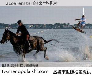 accelerate 來世的未來相片