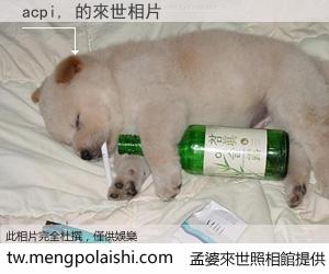 acpi, 來世的未來相片