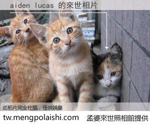 aiden lucas 來世的未來相片