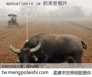 apocalipsis jw 來世的未來相片