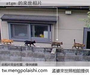 atgm 來世的未來相片