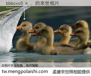 bbbcvc0 k , 來世的未來相片