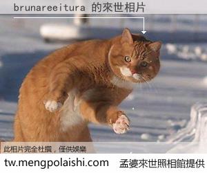 brunareeitura 來世的未來相片