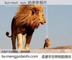 burnout syn 來世的未來相片