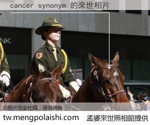 cancer synonym 來世的未來相片