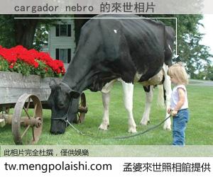 cargador nebro 來世的未來相片