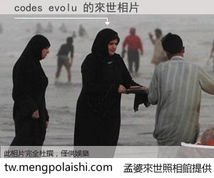 codes evolu 來世的未來相片