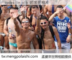 codes in vlb 來世的未來相片