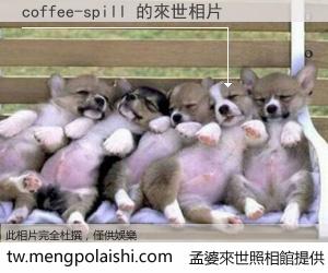 coffee-spill 來世的未來相片