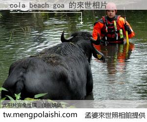 cola beach goa 來世的未來相片