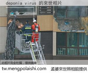 deponia virus 來世的未來相片