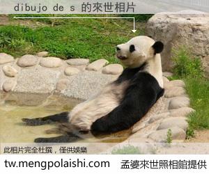 dibujo de s 來世的未來相片