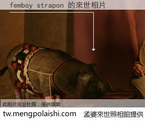 femboy strapon 來世的未來相片