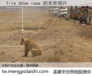 file dkbm lama 來世的未來相片