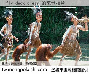 fly deck clear 來世的未來相片