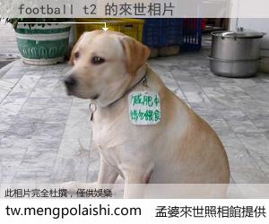 football t2 來世的未來相片
