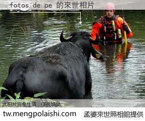 fotos de pe 來世的未來相片