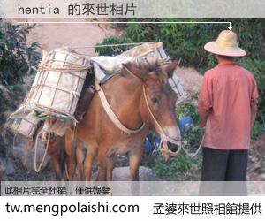 hentia 來世的未來相片