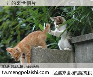 i 來世的未來相片