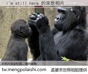 i'm still here 來世的未來相片