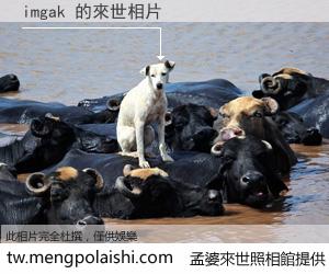 imgak 來世的未來相片