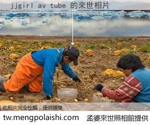 jjgirl av tube 來世的未來相片