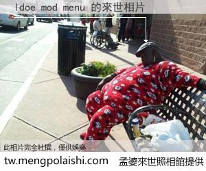 ldoe mod menu 來世的未來相片